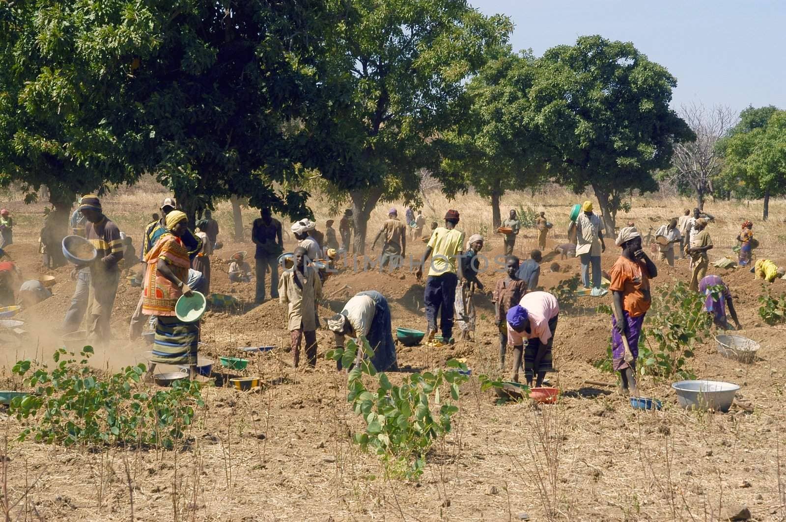To the goldmine of Poura the gold diggers come from everywhere in the hope of finding a little gold after the season of the cultures. Women, children and men of very old are here in a universe of dust under a blazing sun. In Burkina Faso Faso the research of gold in the wild mines is the only activity which makes it possible to save the population of misery.