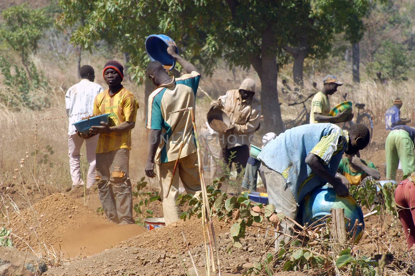 To the goldmine of Poura the gold diggers come from everywhere in the hope of finding a little gold after the season of the cultures. Women, children and men of very old are here in a universe of dust under a blazing sun. In Burkina Faso Faso the research of gold in the wild mines is the only activity which makes it possible to save the population of misery.