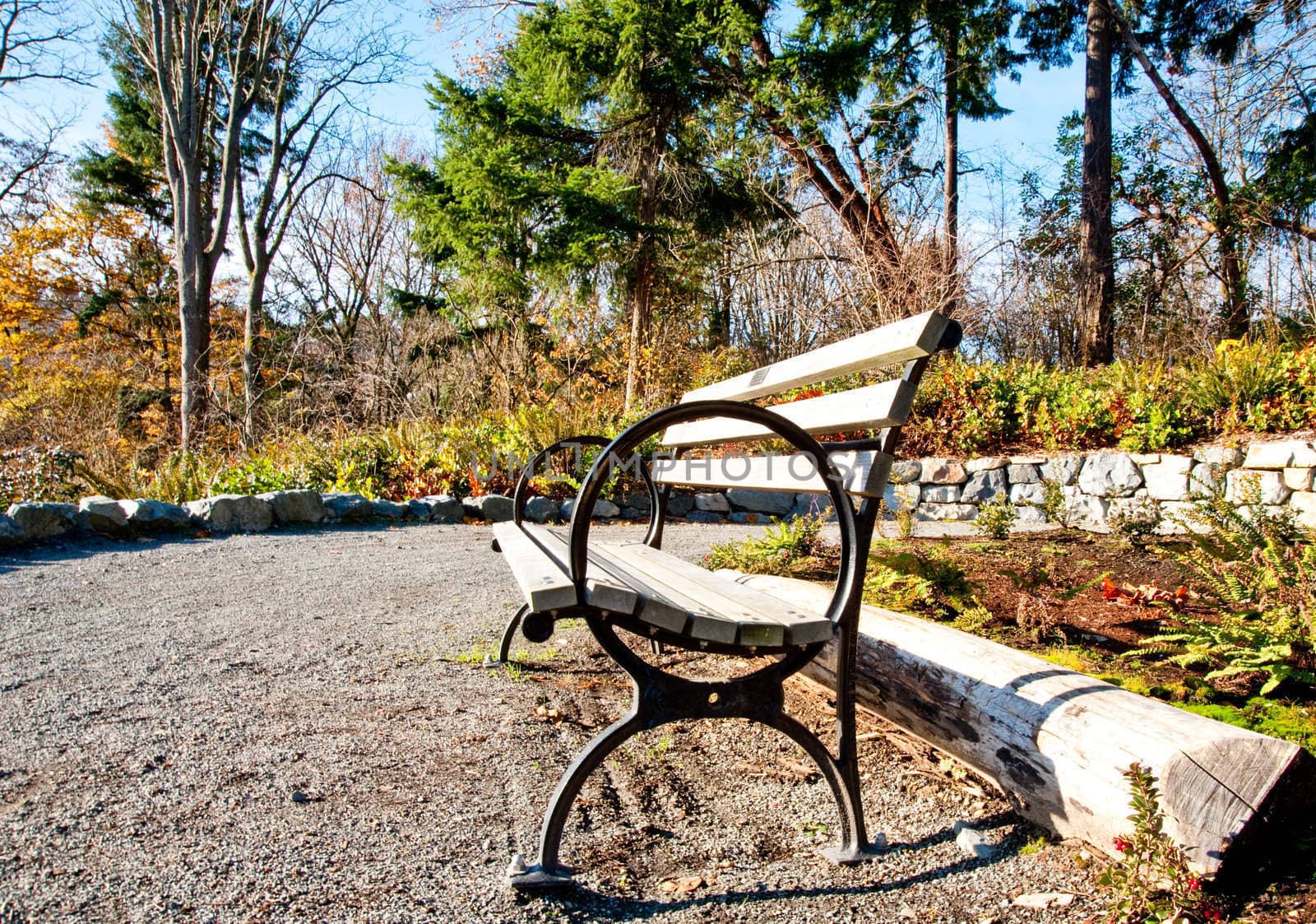 Bench in the Washington Park Arboretum
