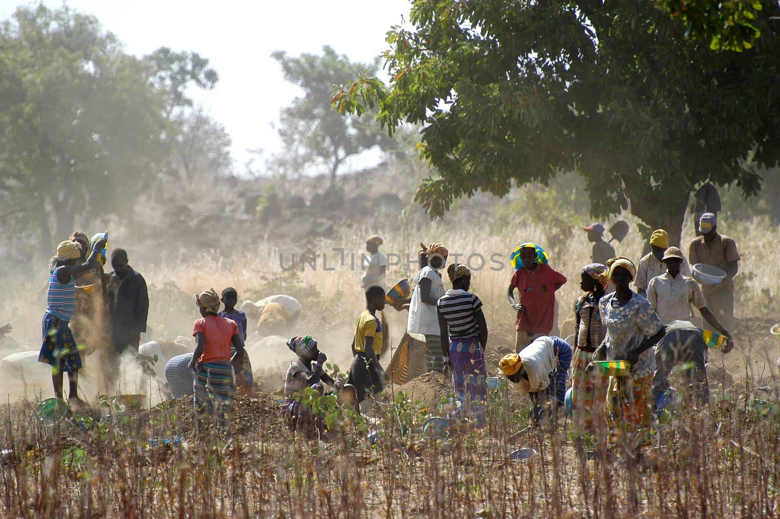 To the goldmine of Poura the gold diggers come from everywhere in the hope of finding a little gold after the season of the cultures. Women, children and men of very old are here in a universe of dust under a blazing sun. In Burkina Faso Faso the research of gold in the wild mines is the only activity which makes it possible to save the population of misery.                             