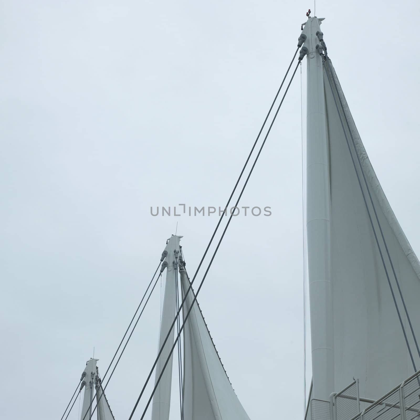 White sails and sky