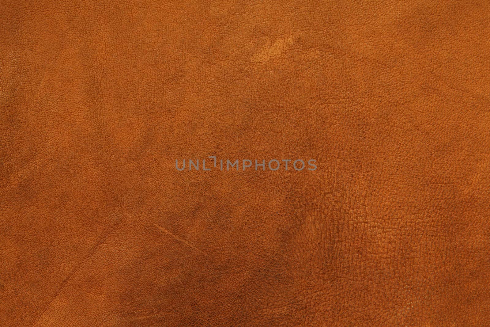 Leather background by sumners