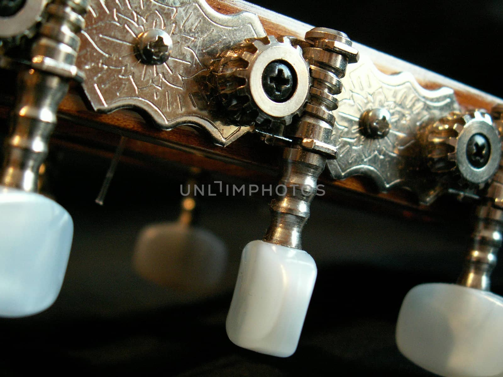 the guitar