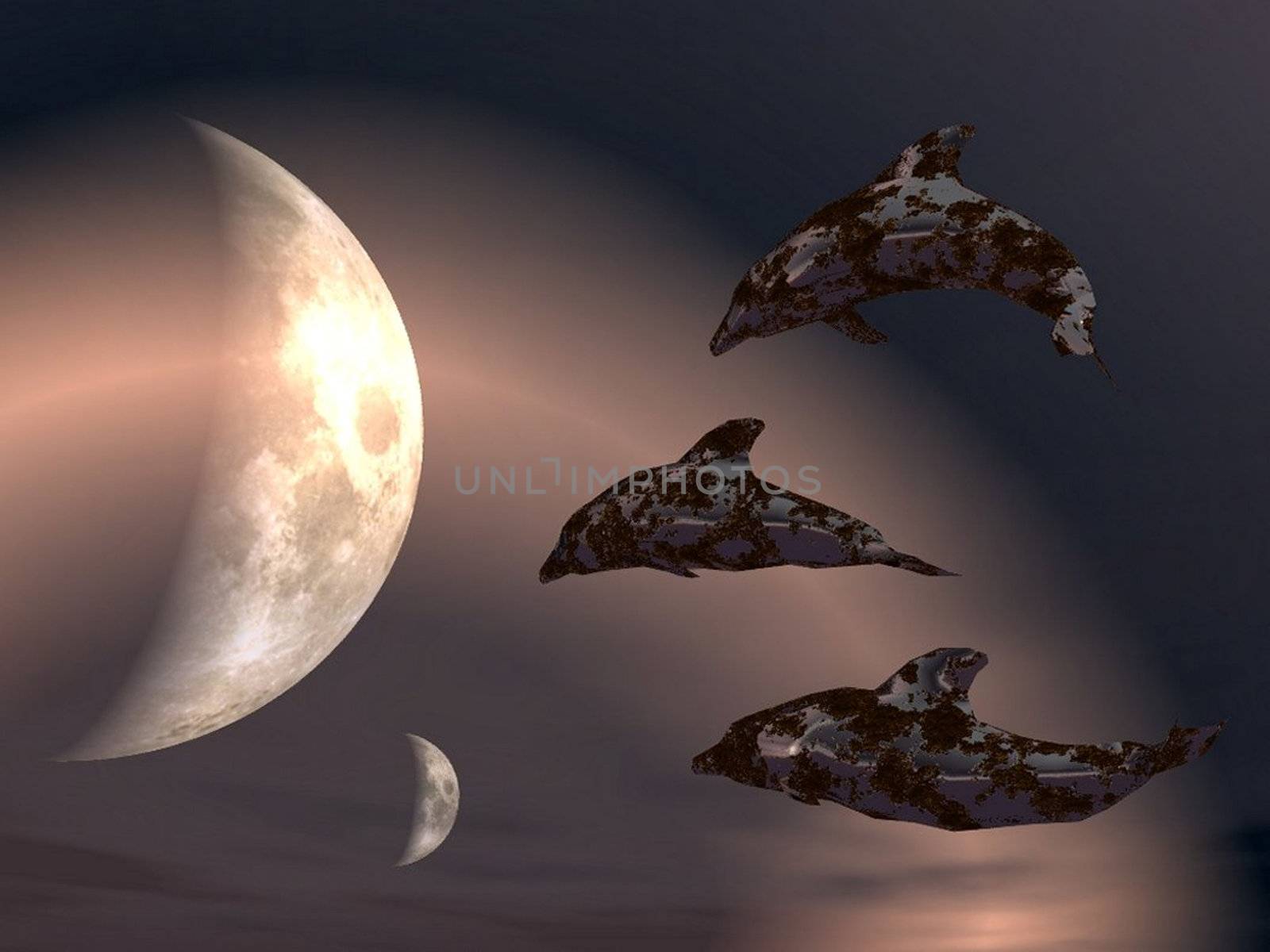 dolphins  in space