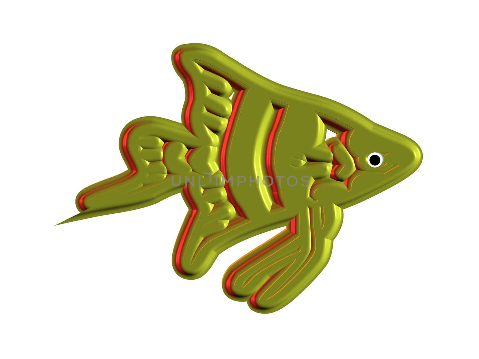 the fish