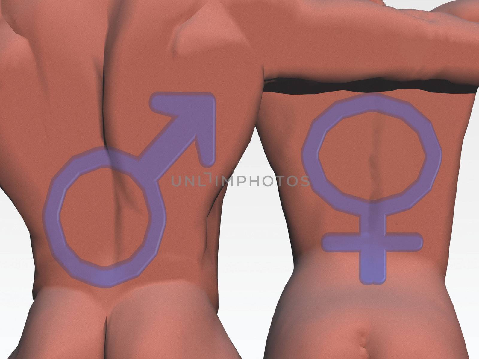 male and female