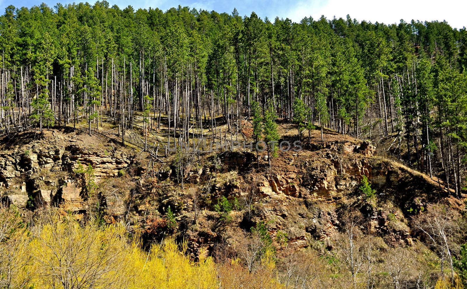 Black Hills South Dakota