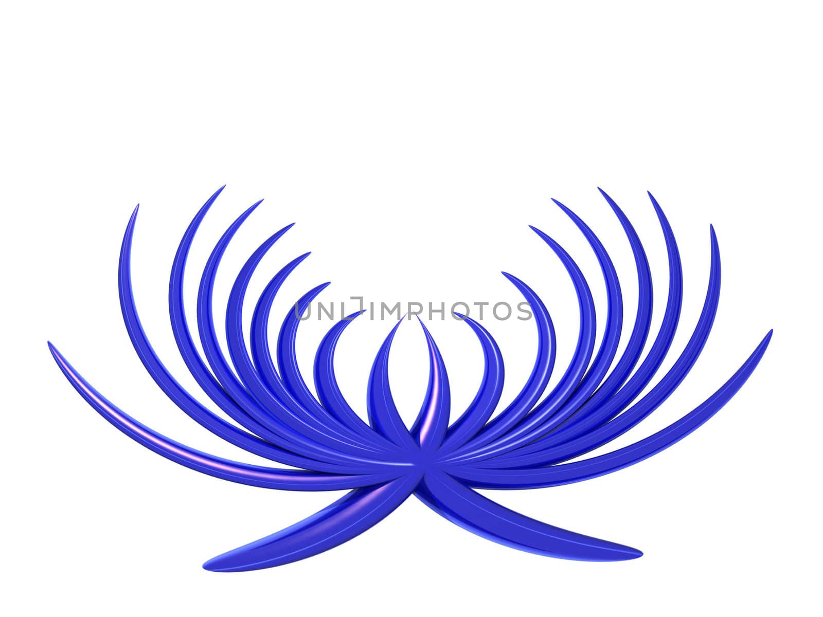 the blue form