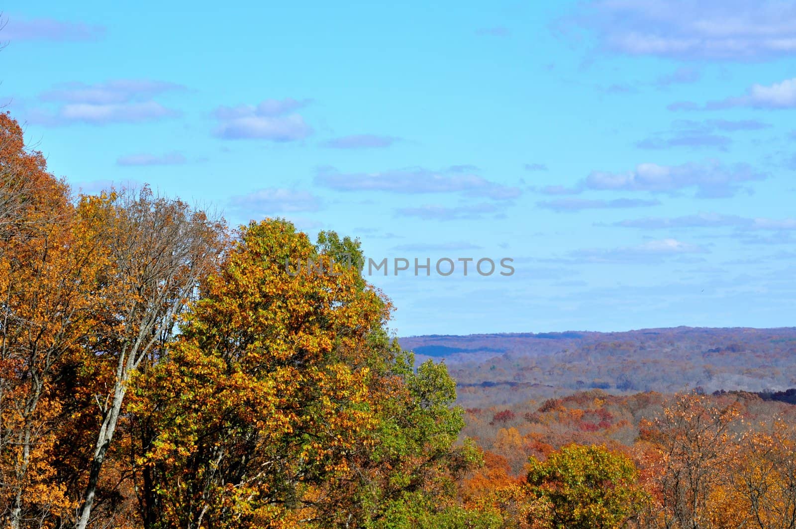 Brown County State Park by RefocusPhoto