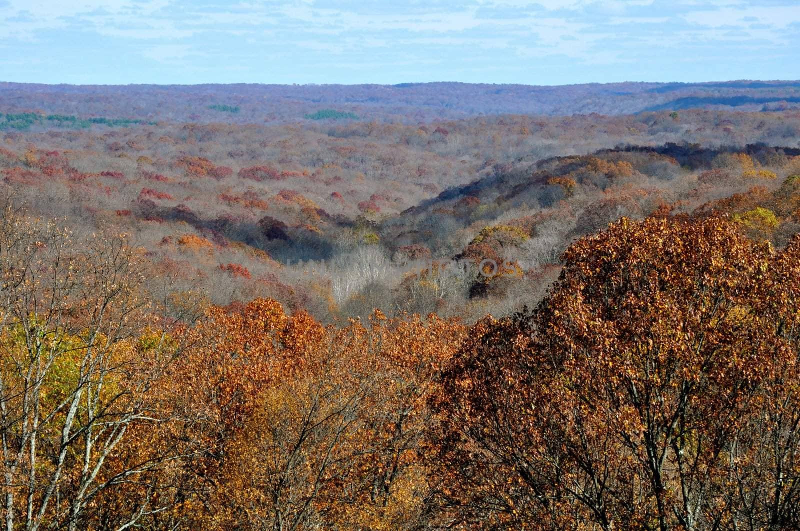 Brown County State Park
