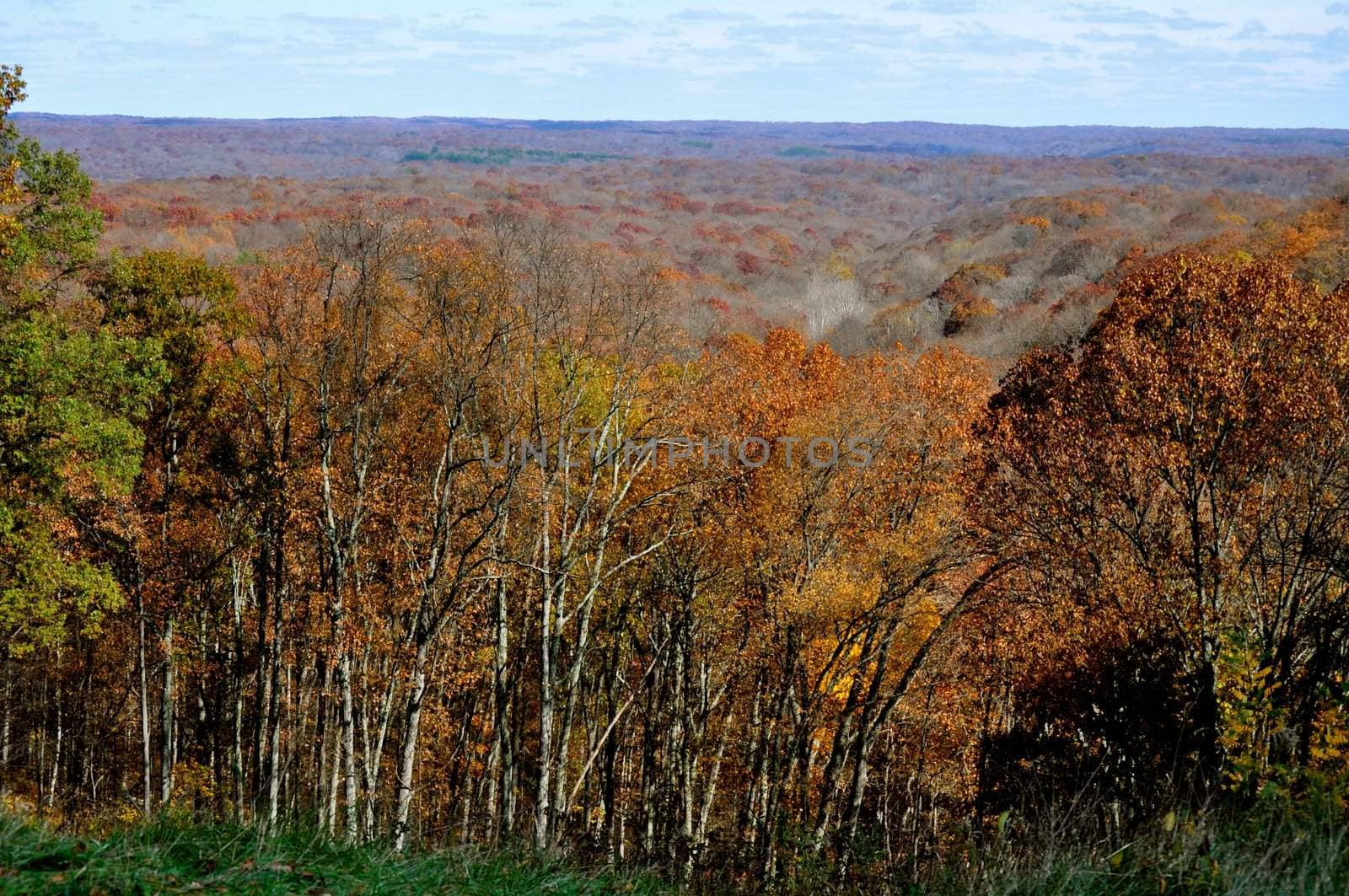 Brown County State Park by RefocusPhoto