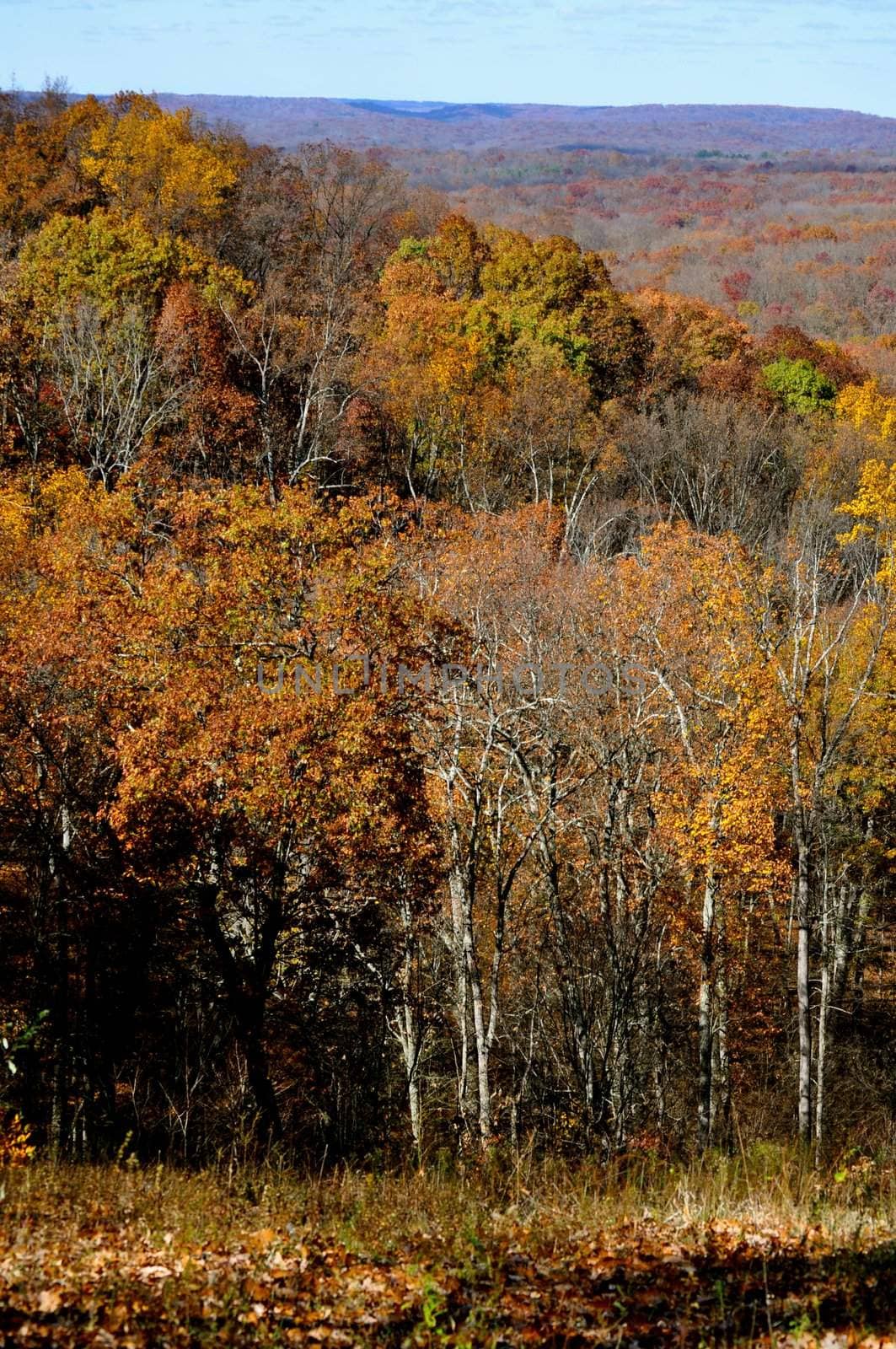 Brown County State Park by RefocusPhoto