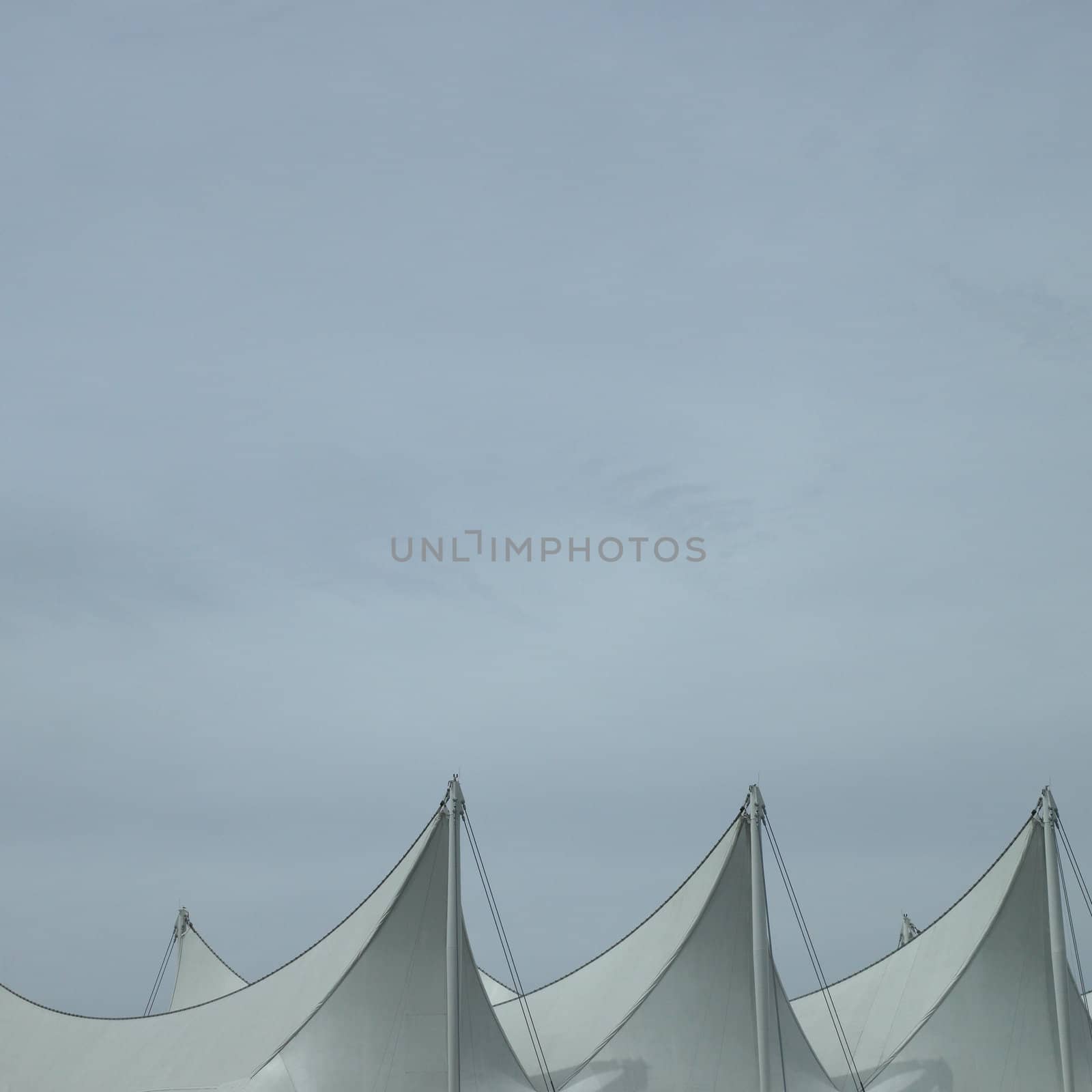 White sails and sky