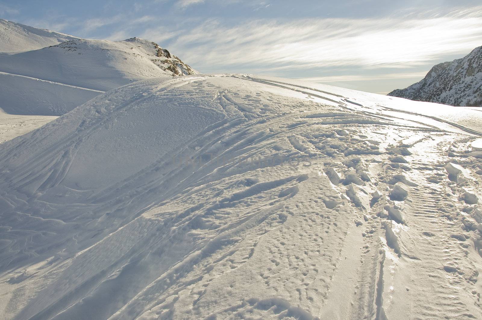 a winter landscape in the snow