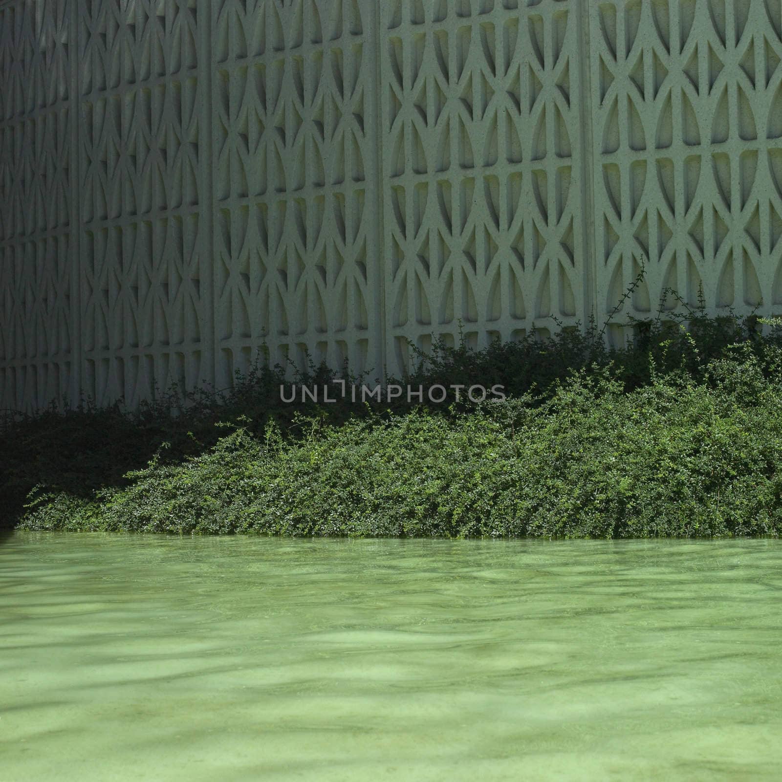 White patterned wall and water