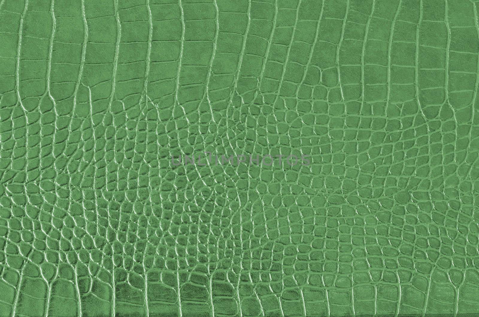 Crocodile Skin Pattern , Alligator skin seamless texture