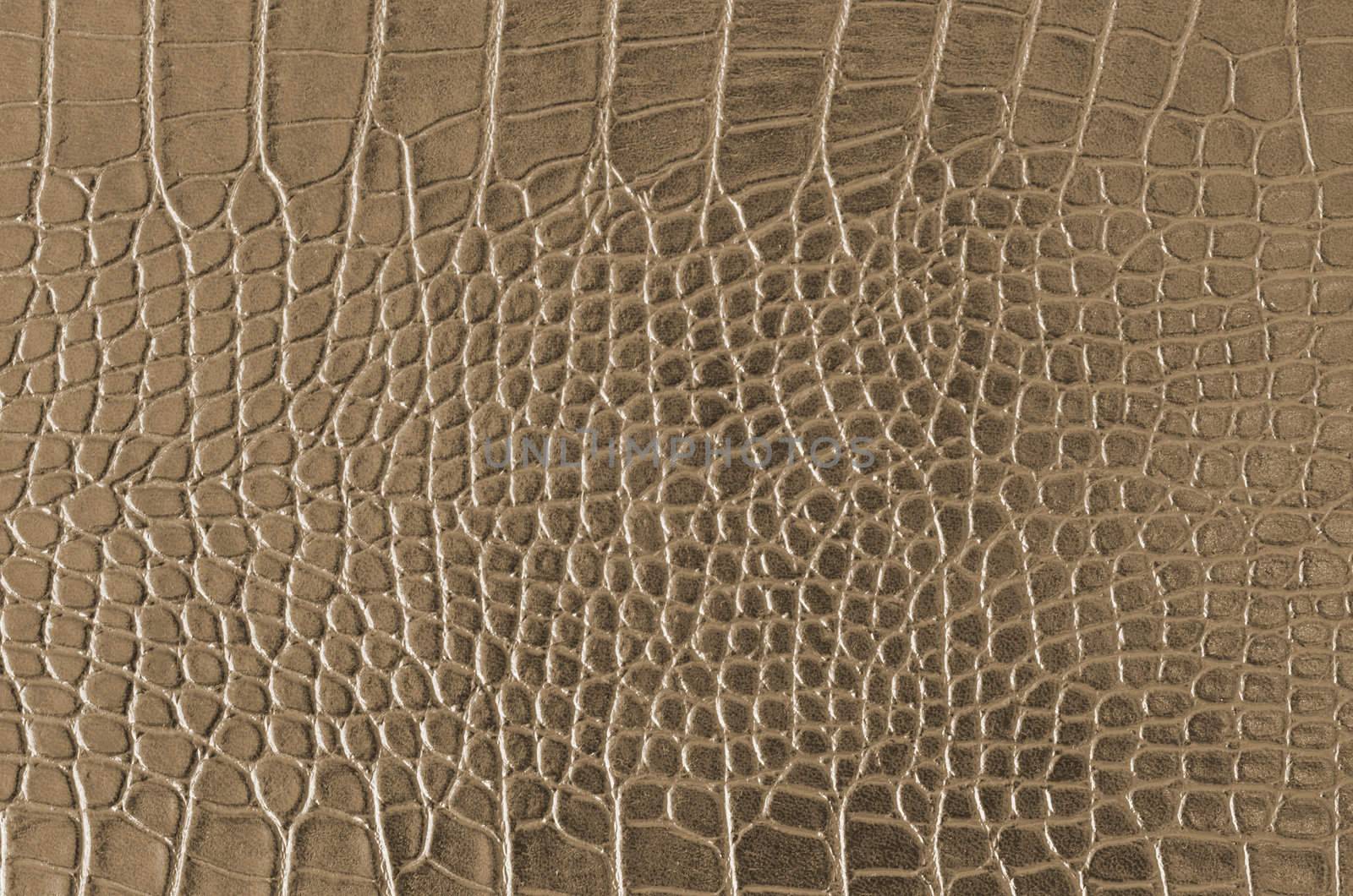 Crocodile Skin Pattern , Alligator skin seamless texture