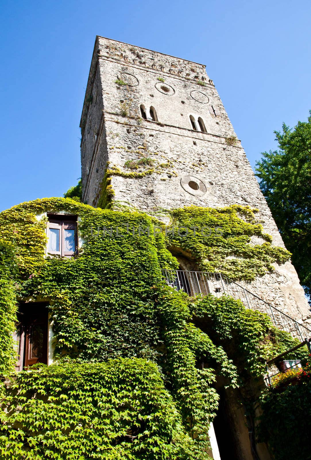 Italy - a Middle Age castle covered by ivy