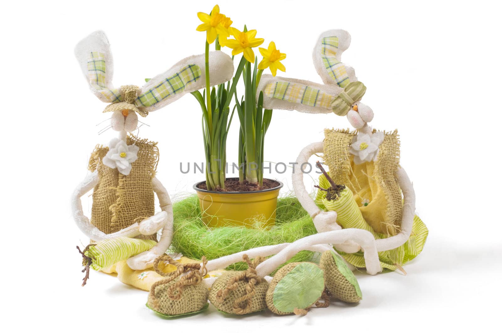 Easter bunnies with narcissus, isolated on white