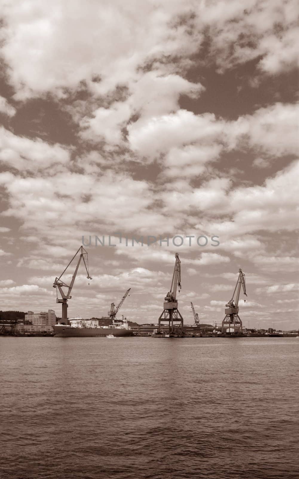 Industrial Harbour with lifting cranes. Sepia toned.







Detailed macro picture of kiwi fruit cut in half.