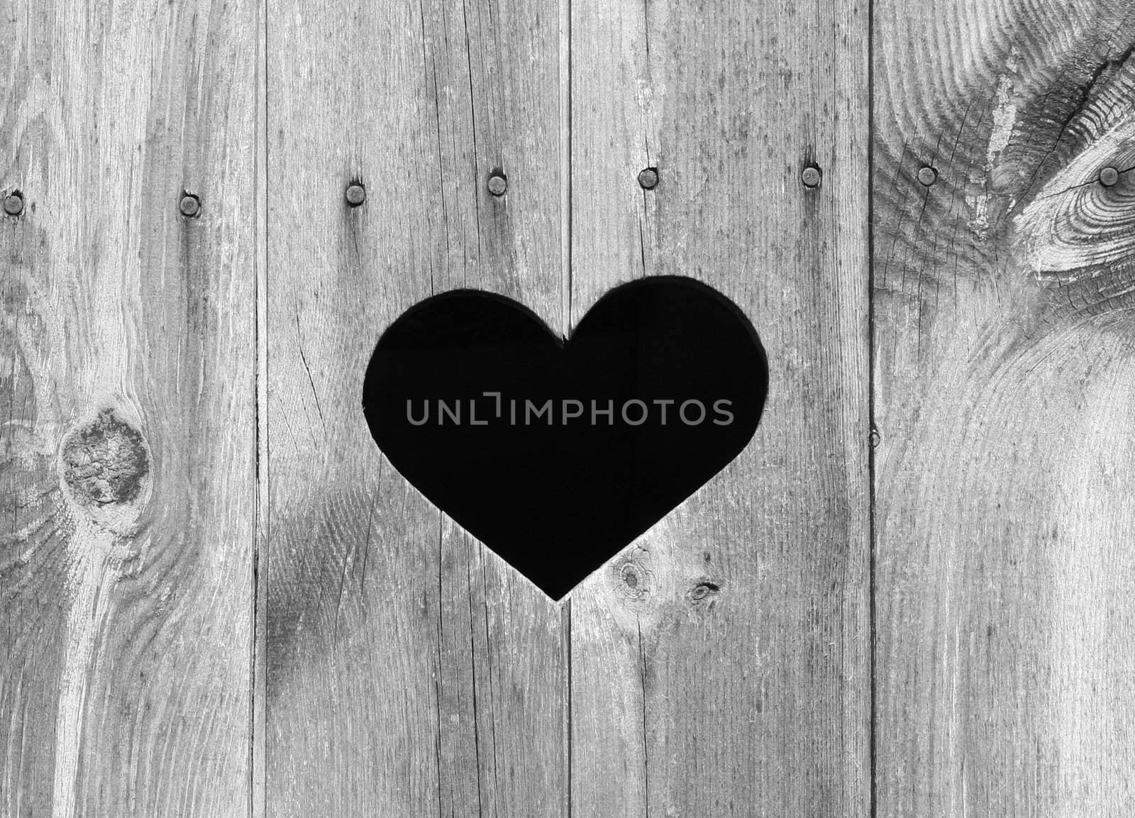 Heart shape look out on wooden door to outhouse.