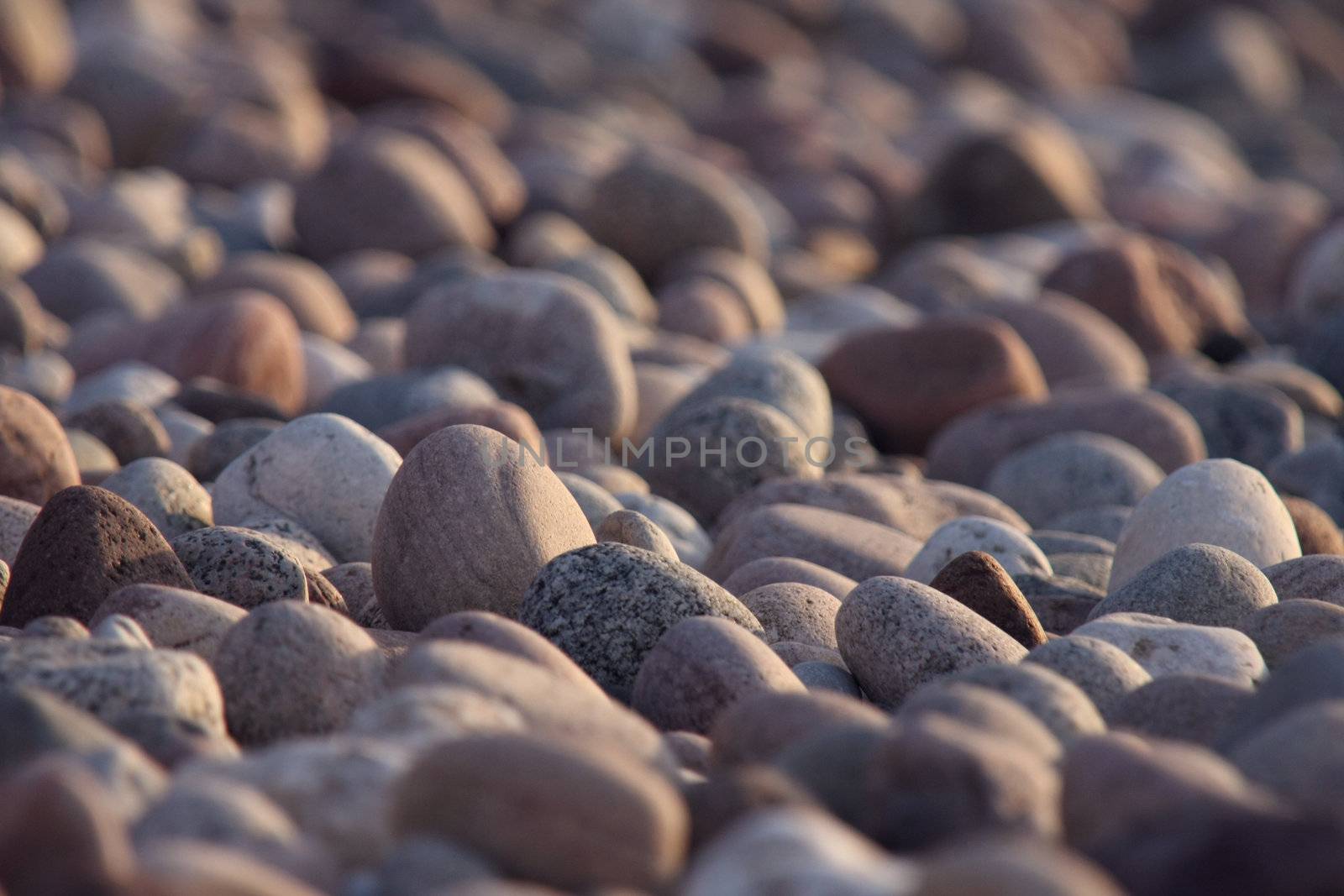 Rocky Shore in sunset, background picture, copy space.