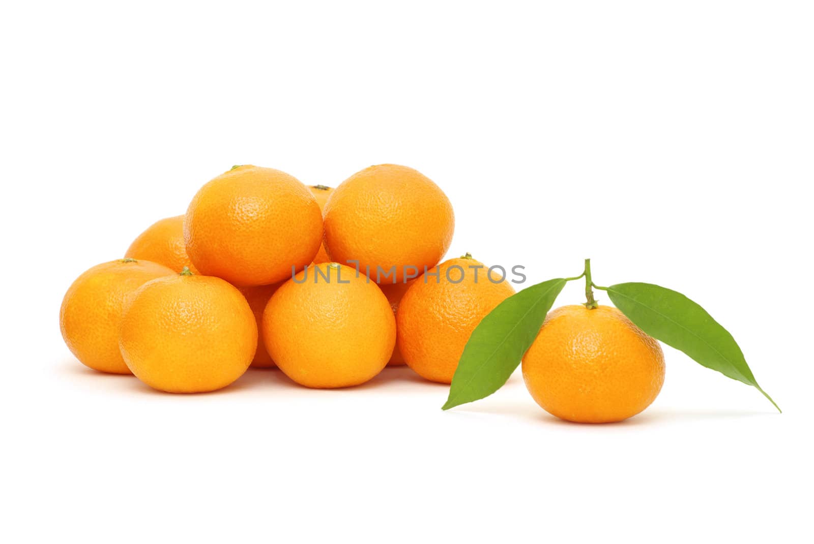  tangerine isolated on a white background