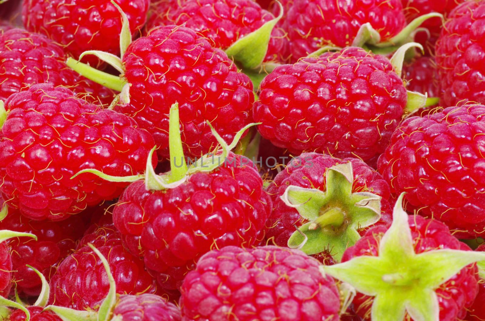 sweet fresh raspberry close up