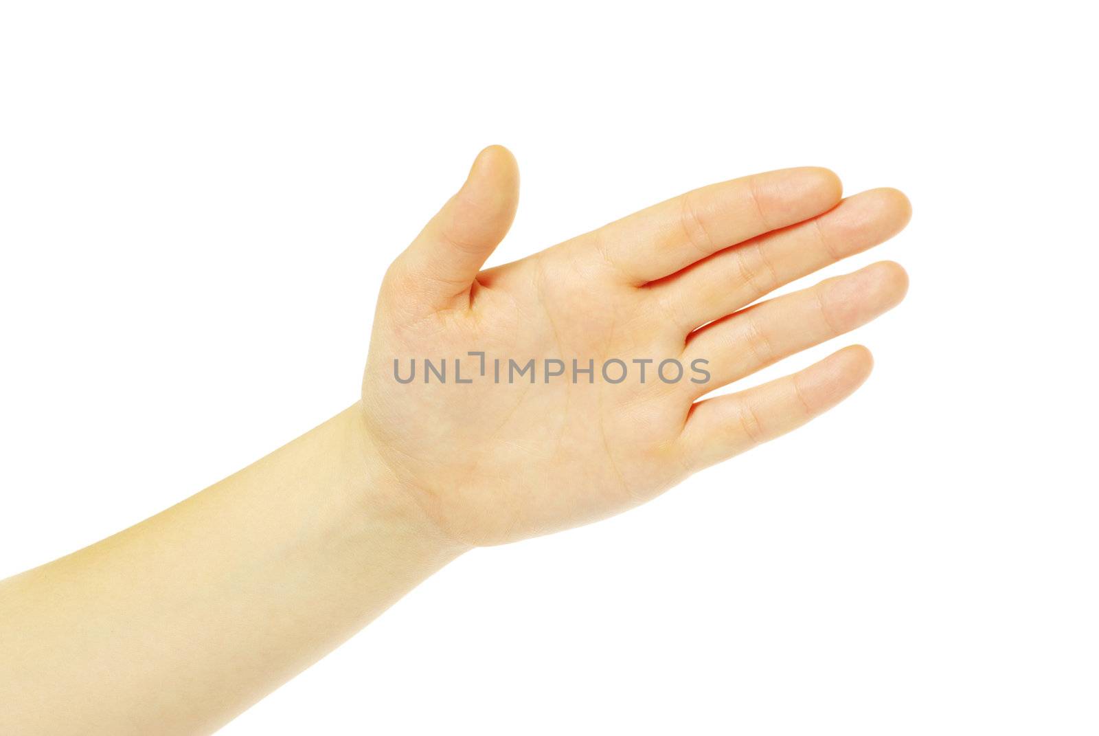  hand isolated on a white