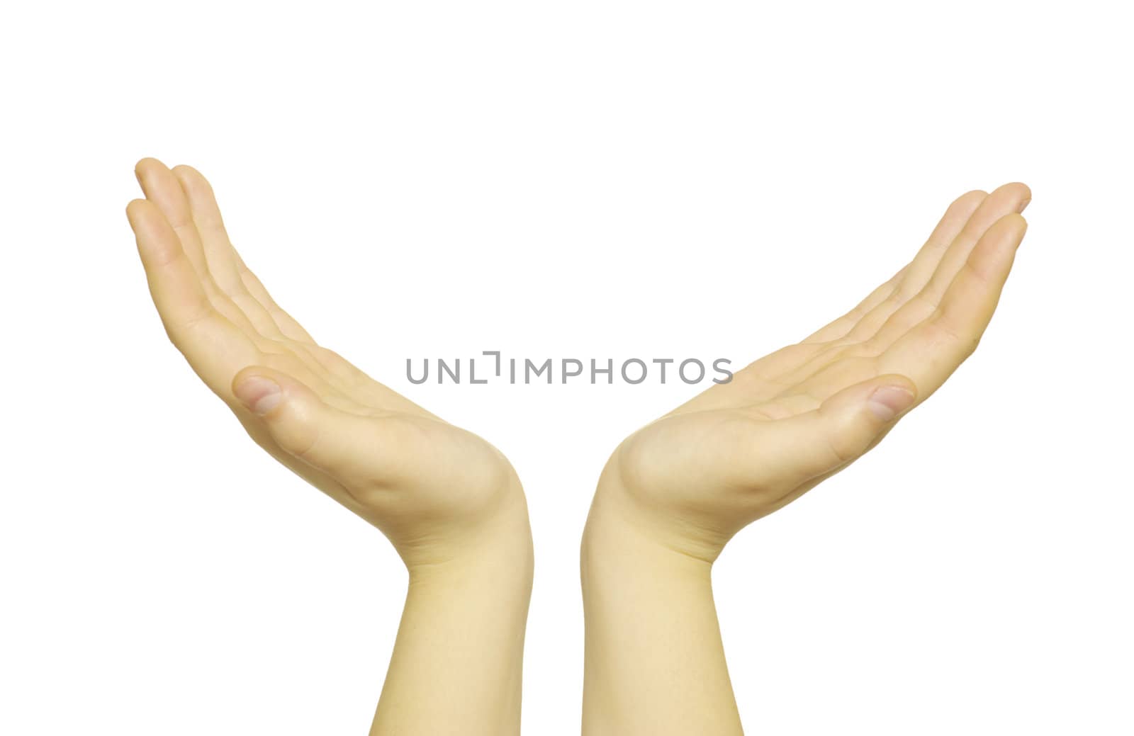 hands isolated on a white background