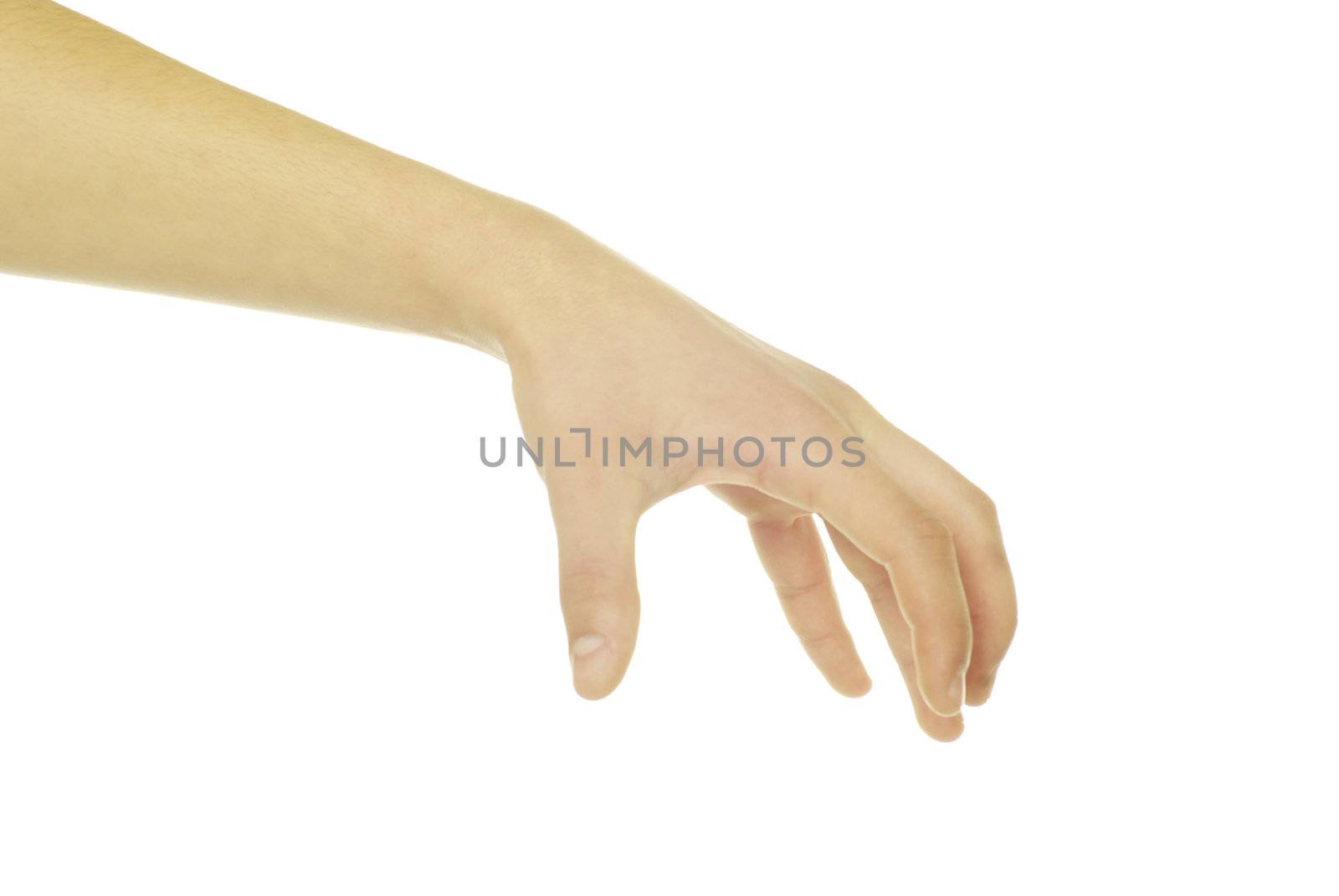hand isolated on a white background