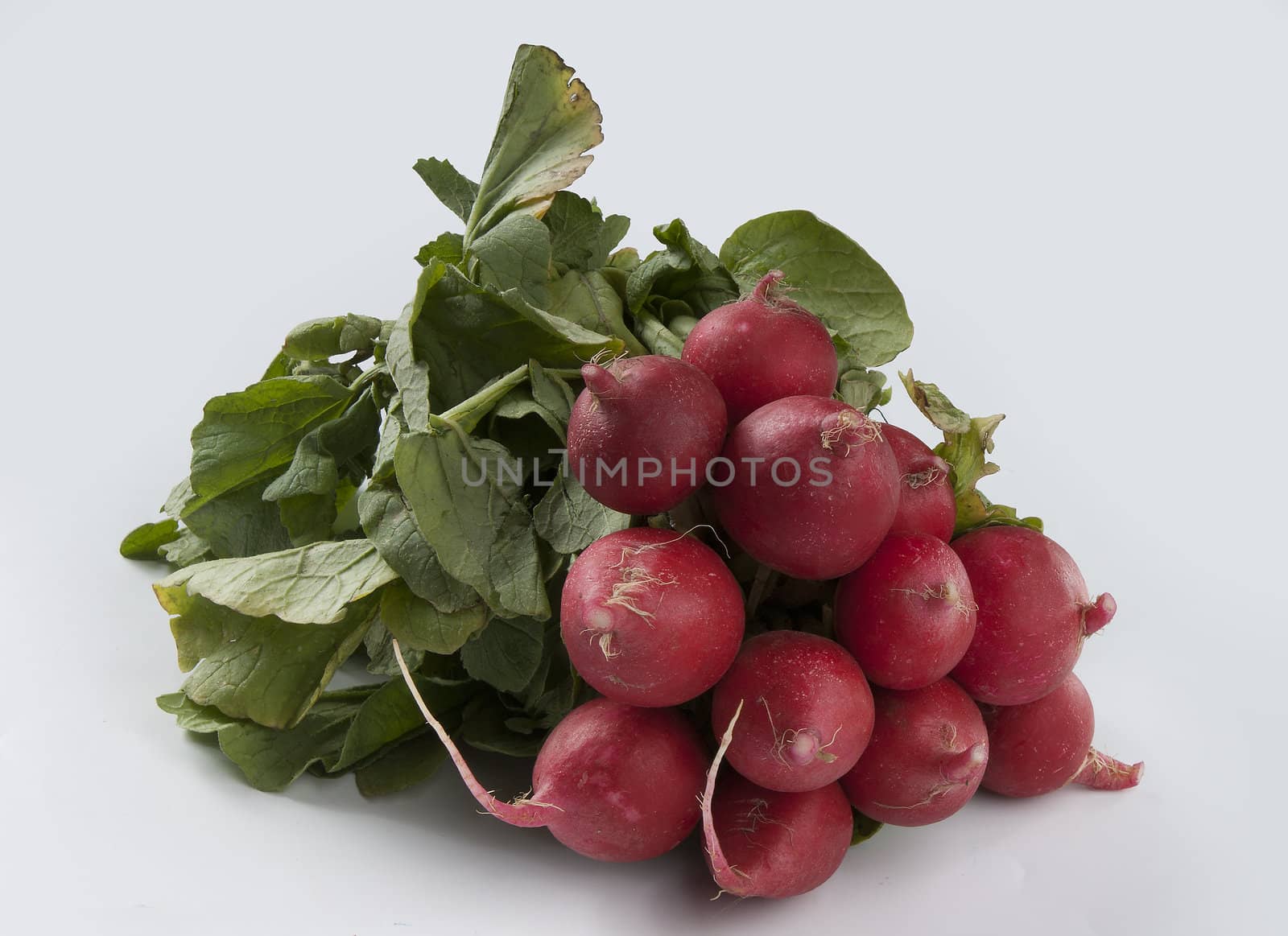 Radish by Angorius