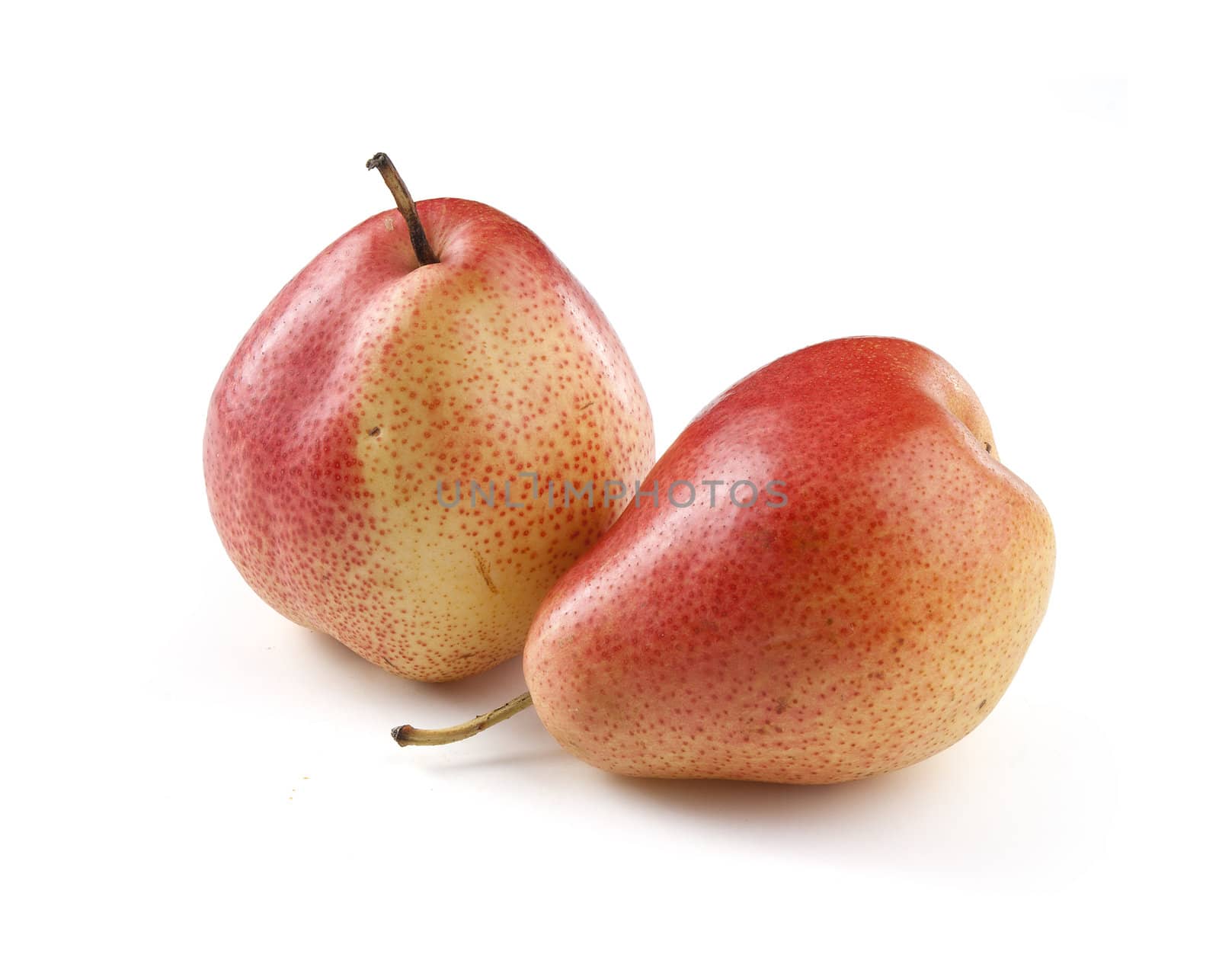 Two fresh red pear on the white background