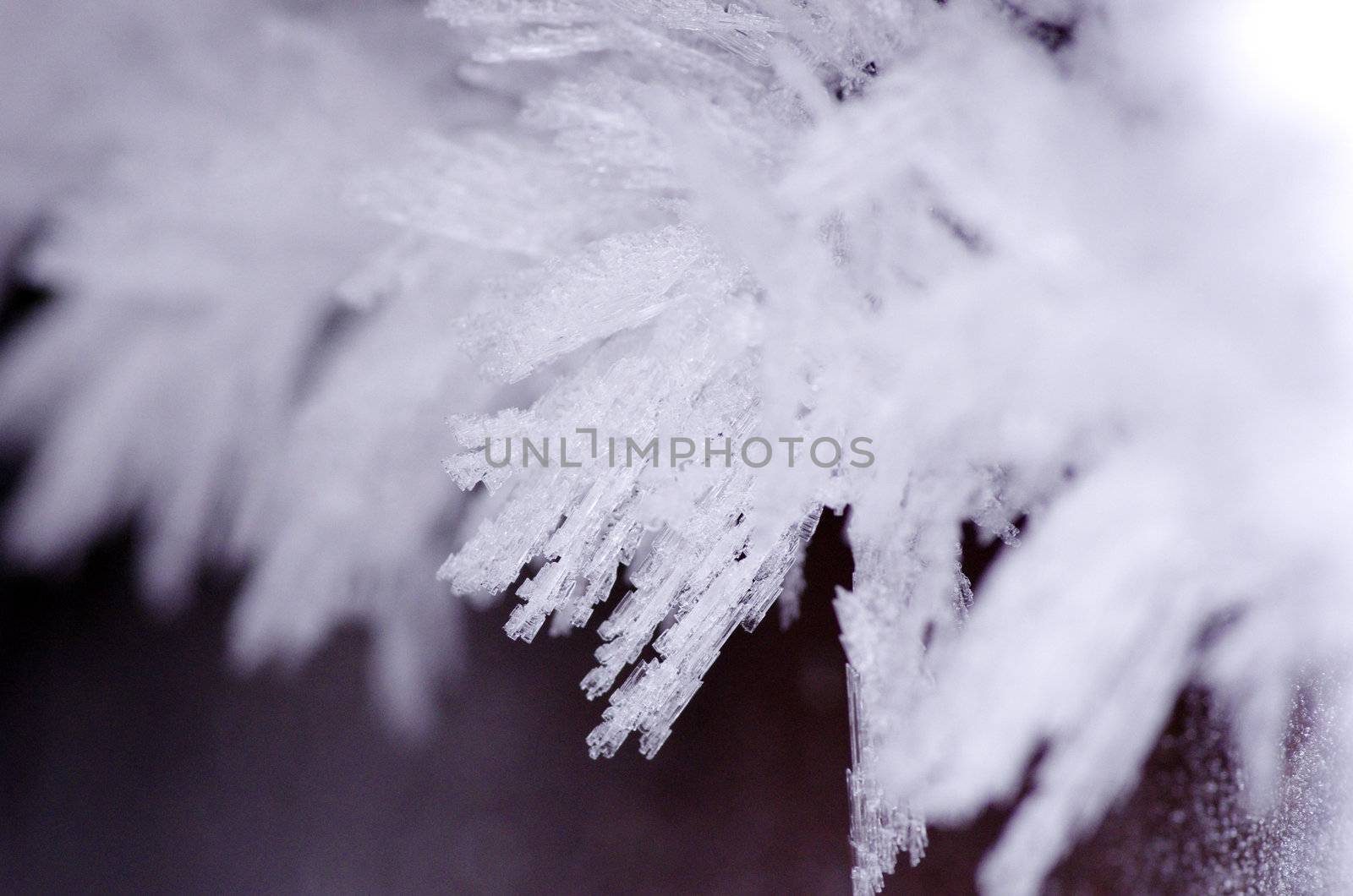close up of ice crystals forming spiky ornaments