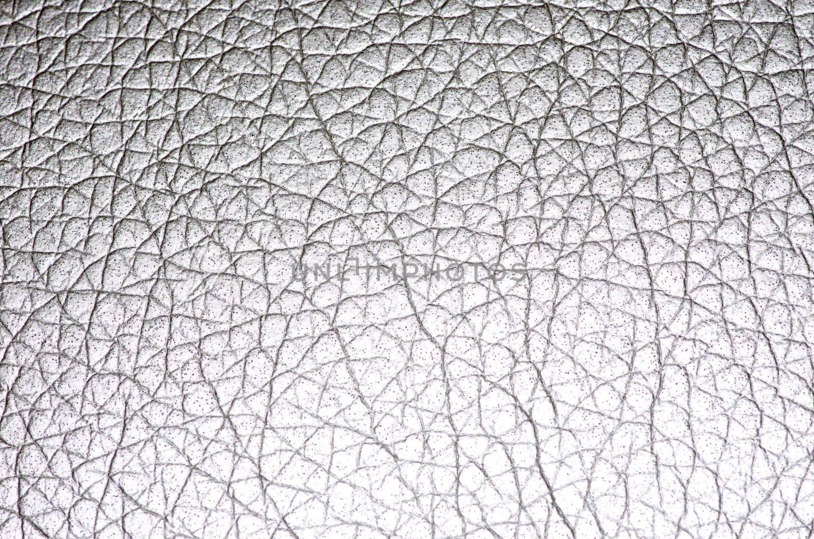 Natural qualitative white leather texture