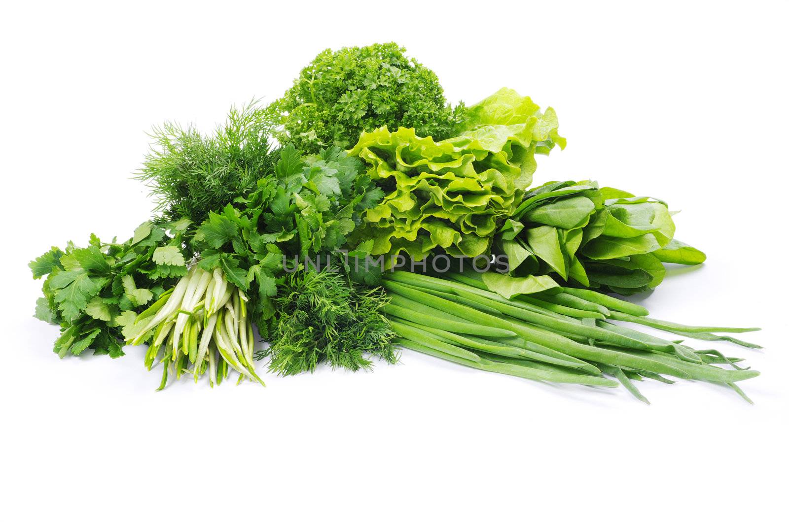 Fresh herbs isolated on white