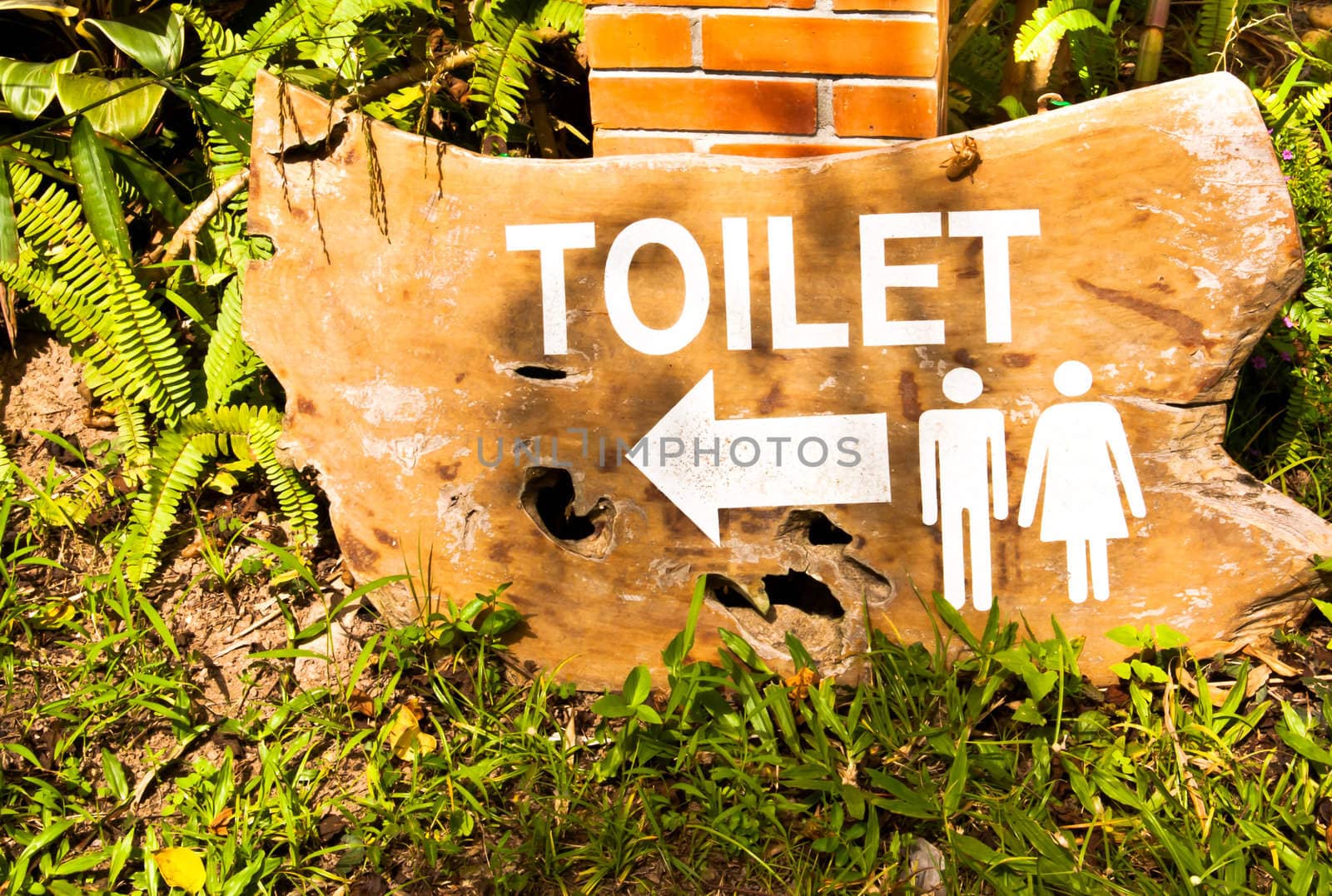 Toilet  signs both men and women in the garden.