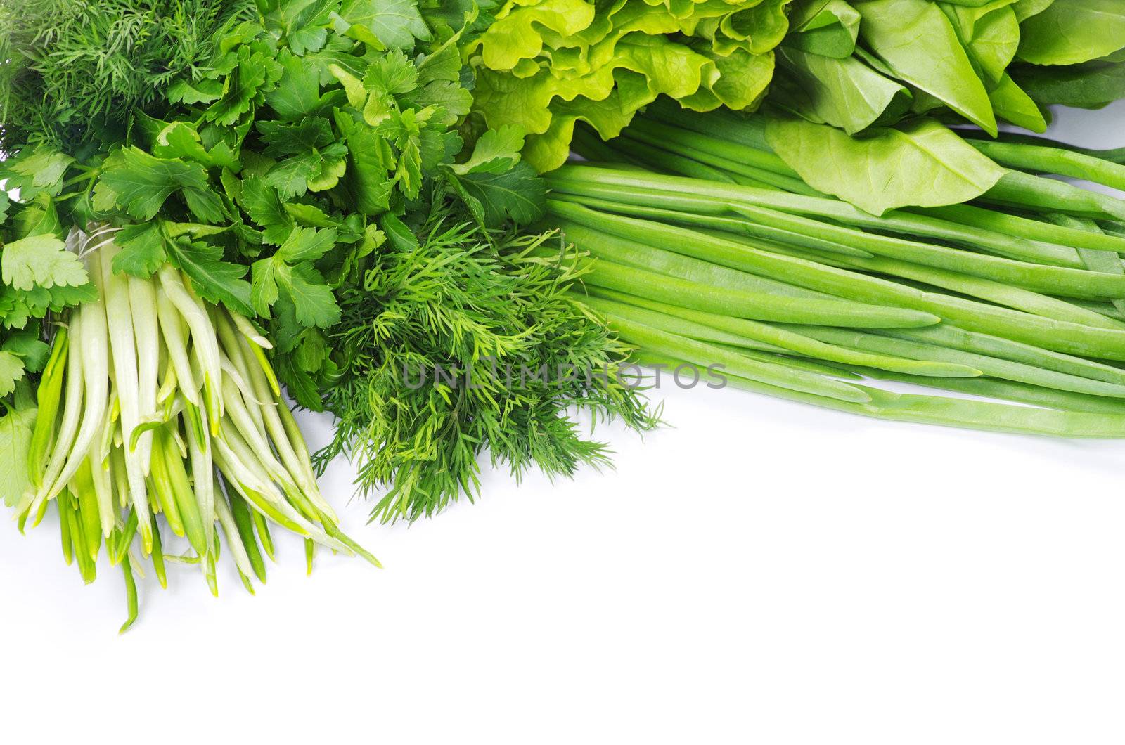Fresh herbs isolated on white
