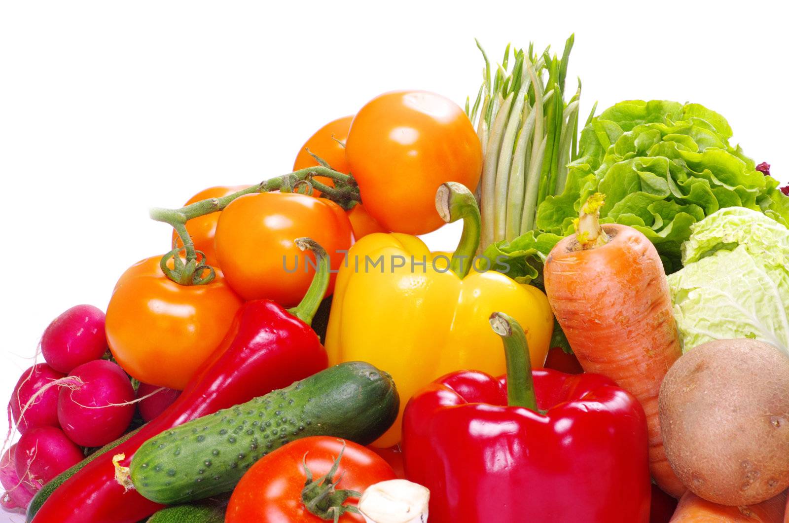 fresh vegetables on the white background