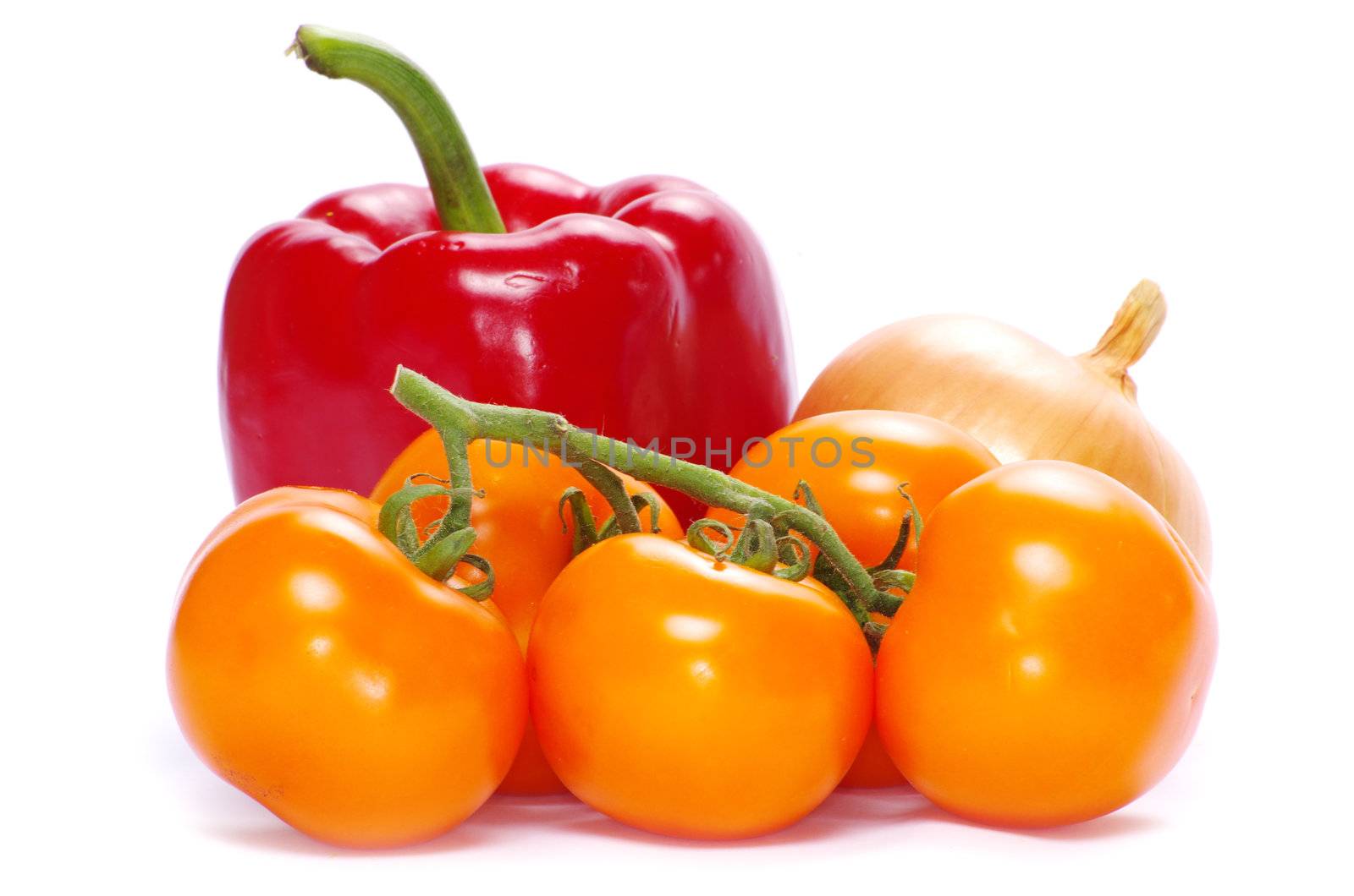 fresh vegetables on the white background
