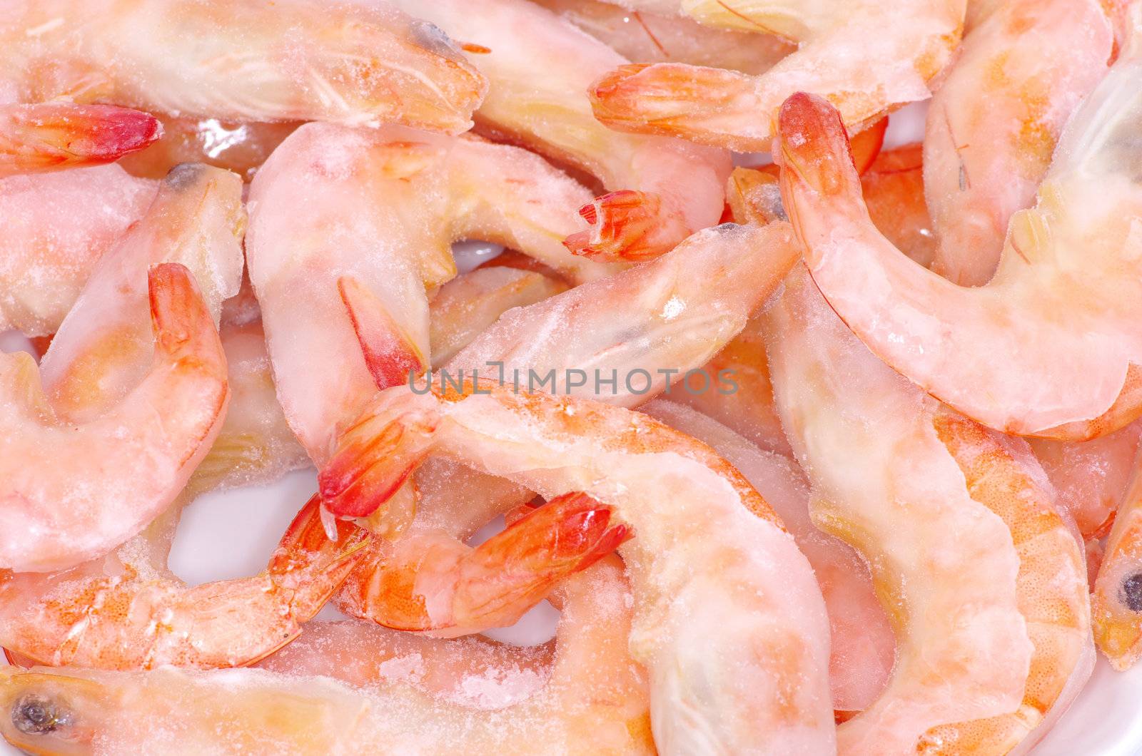fresh shrimp background close up