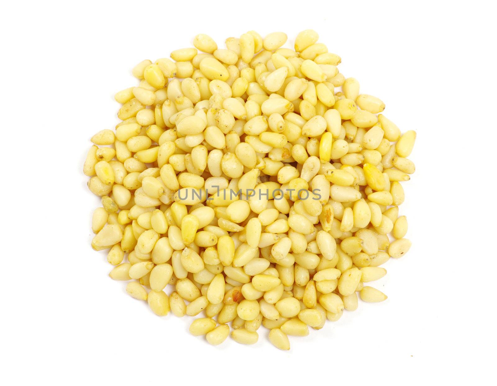 pine nuts isolated on a white background