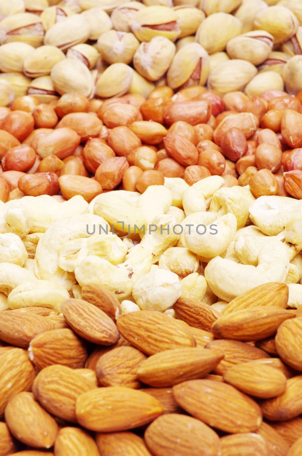 nuts collection as a background