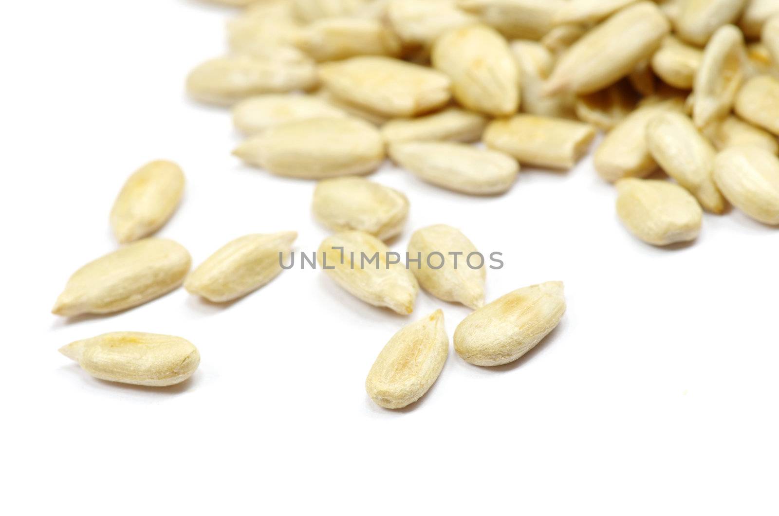 sunflower seeds isolated on white
