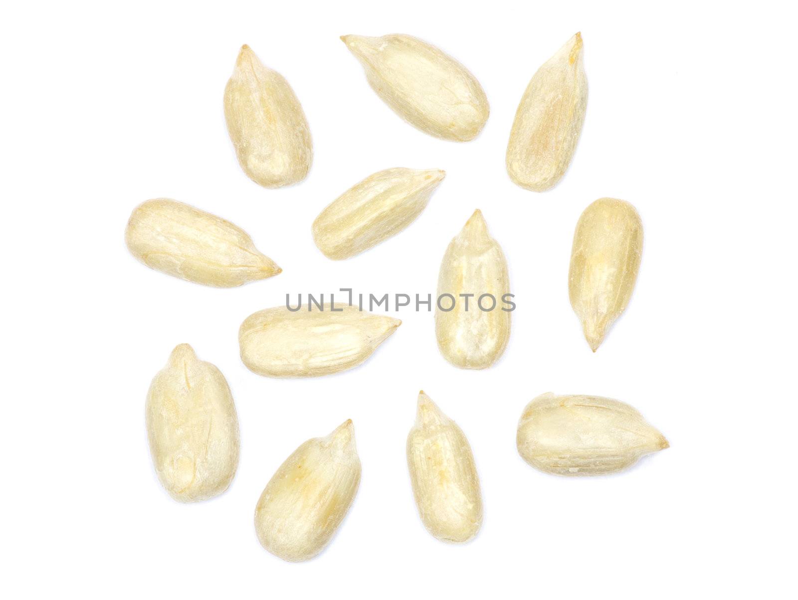 sunflower seeds isolated on white