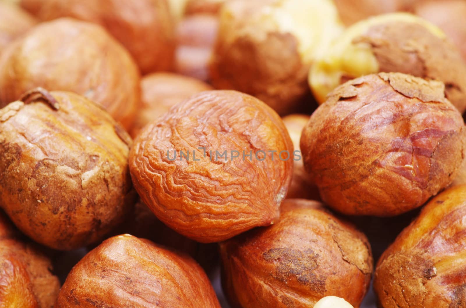 hazelnuts isolated on white background