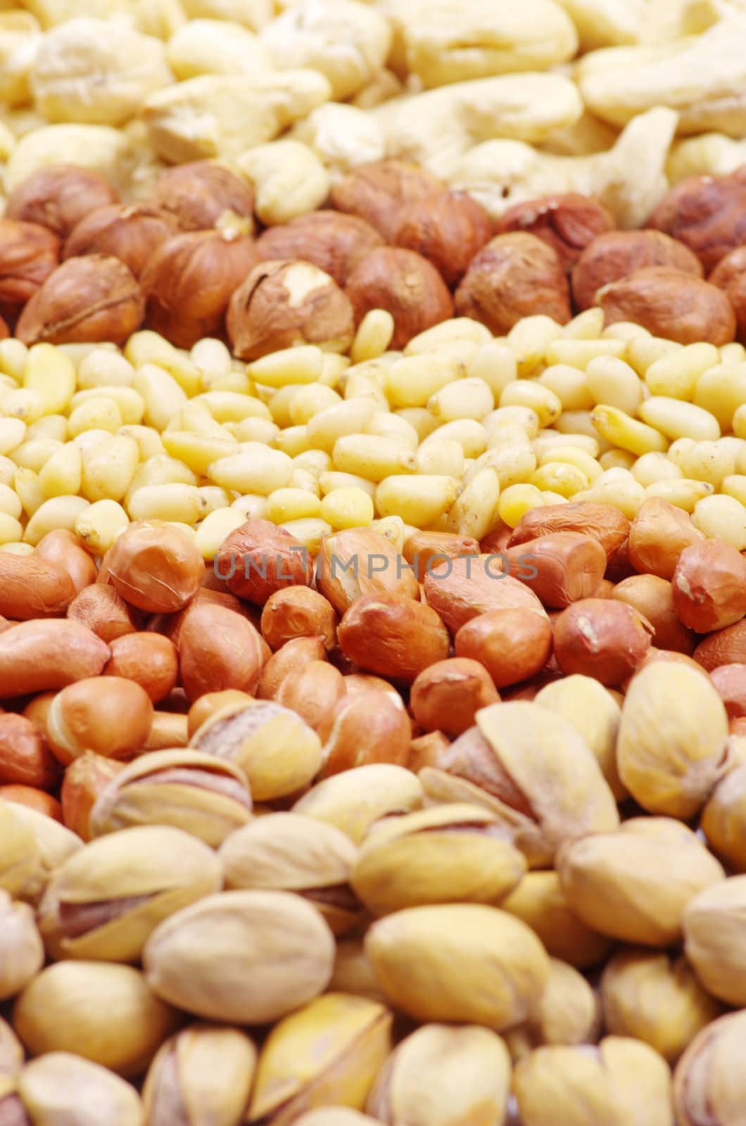 various nuts on a background