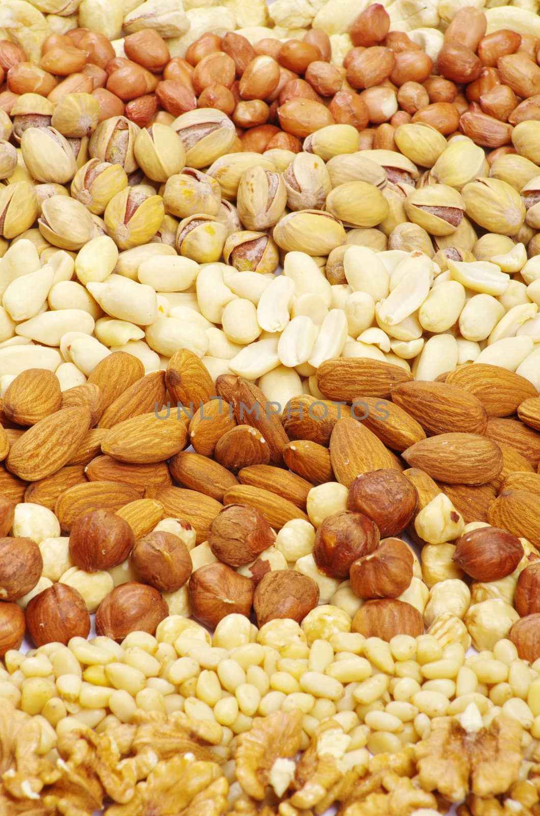various nuts on a background