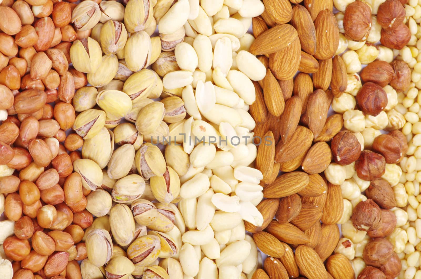various nuts on a background