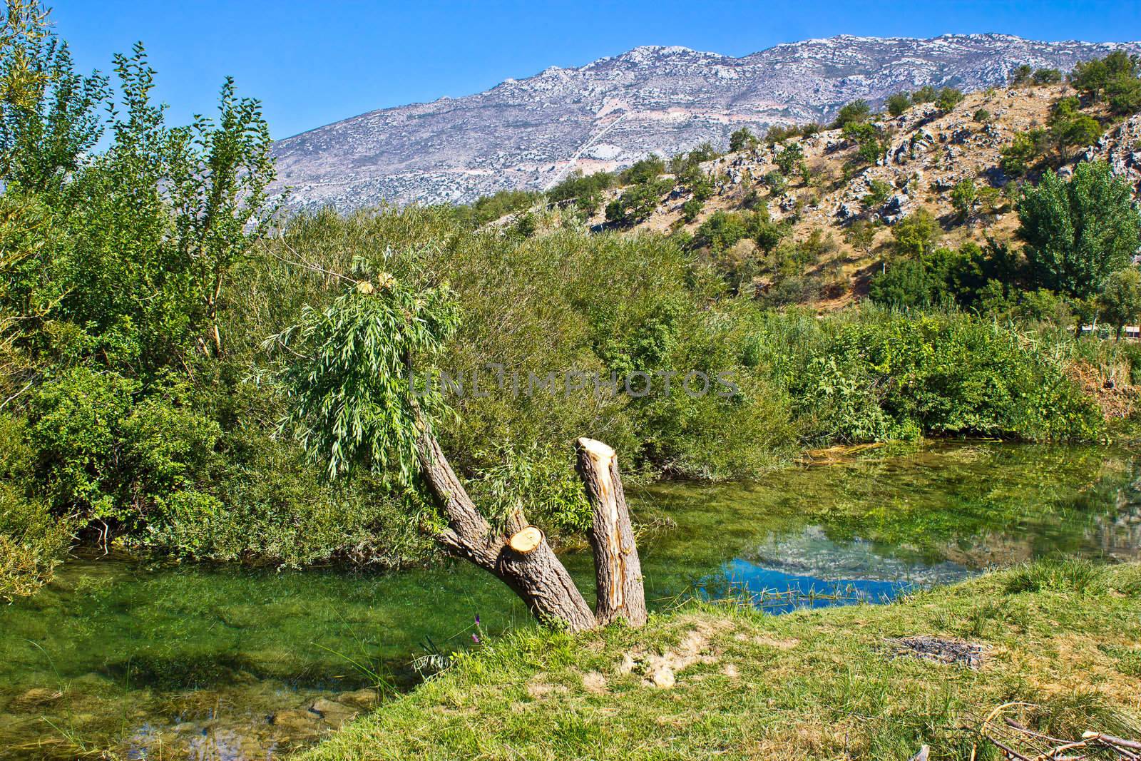 Pure green water of Zrmanja river and Velebit Mountain